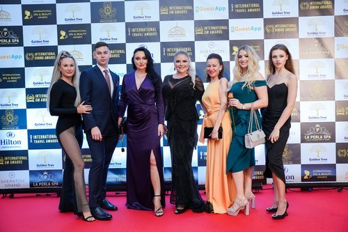 Guests posing on the red carpet at the gala